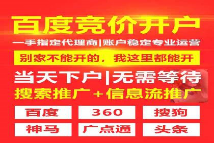 竞价推广策略：成功企业的案例分享